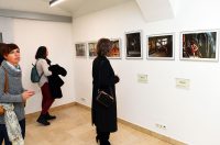 denis stosic izlozba (3) denis stosic izlozba (3)