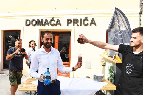 domaca prica djuro gin (1)