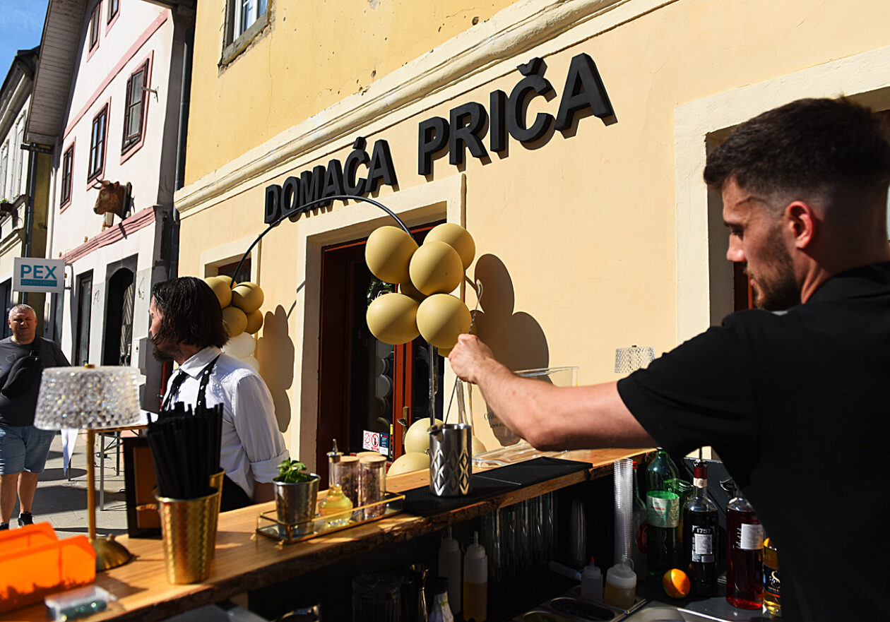 domaca prica djuro gin (11)