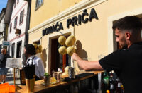 domaca prica djuro gin (11)