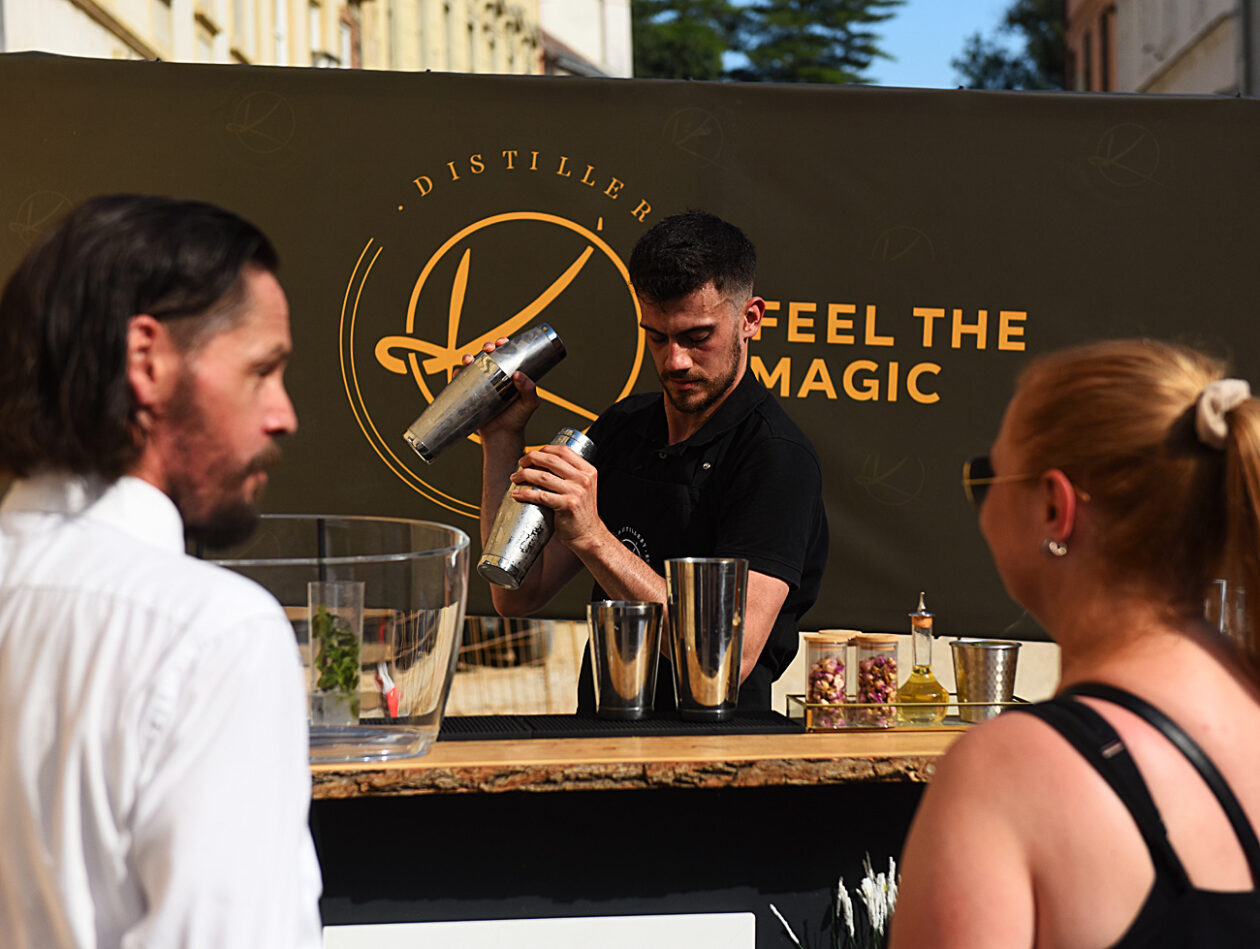 domaca prica djuro gin (37)