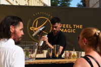 domaca prica djuro gin (37)