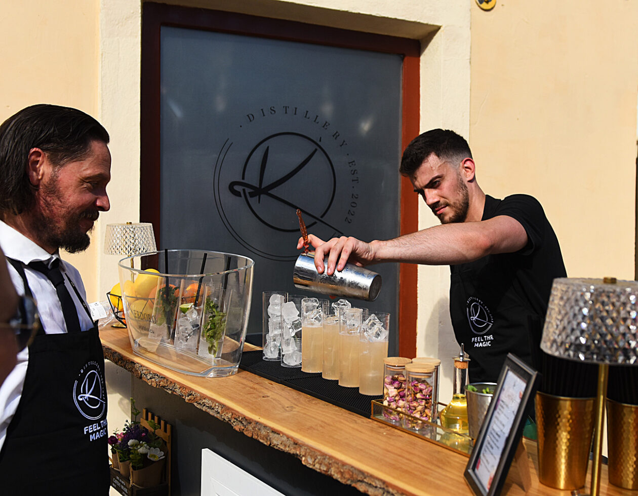 domaca prica djuro gin (38)