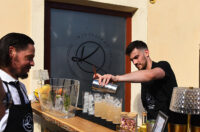 domaca prica djuro gin (38)