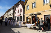 domaca prica djuro gin (9)