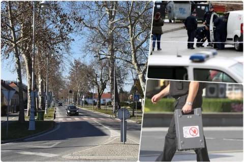 dubovac zastitari kradja