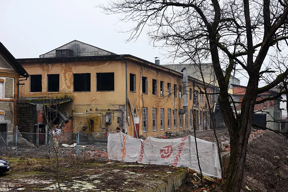 duga resa pamucna (10)