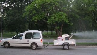 komarciadulti001635x330 komarciadulti001635x330