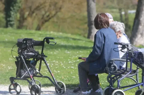 e0ac64a1e6141a6a6db1a03981a42341_view_article_new