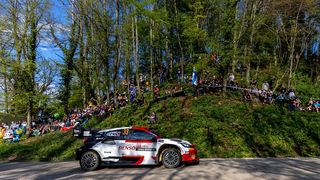 WRC Novigrad