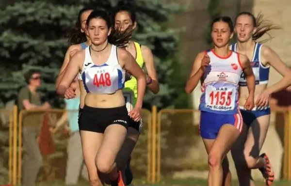 eba312aea08e7e7d3b19b05c866234d3-view_article_new