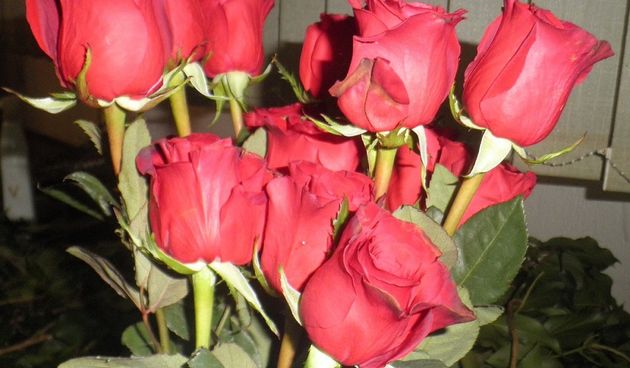 Image 4346525 (auto)