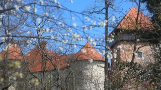 proljeće, vrijeme, Stari grad Dubovac