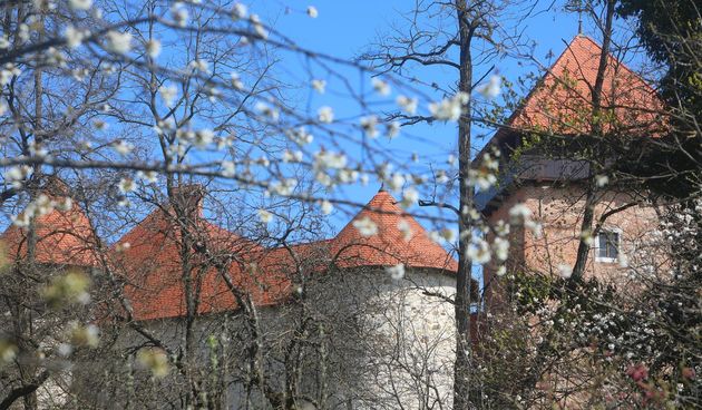 proljeće, vrijeme, Stari grad Dubovac