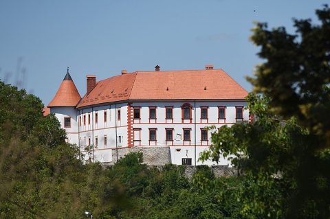 fe12f1ddfd4e419b66b9946f8a893286-1