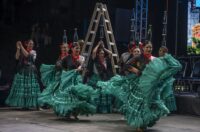 festival folklora (100)