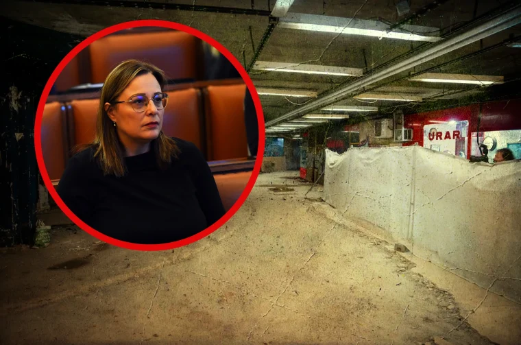 focic pothodnik focic pothodnik