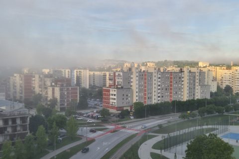 grabrik izmaglica