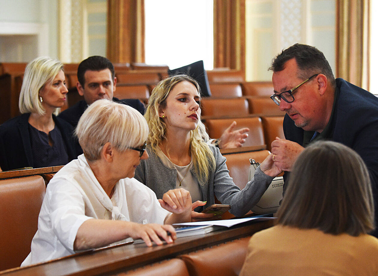gradsko vijece (1)