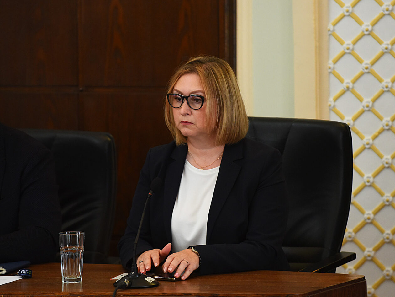 gradsko vijece (16)