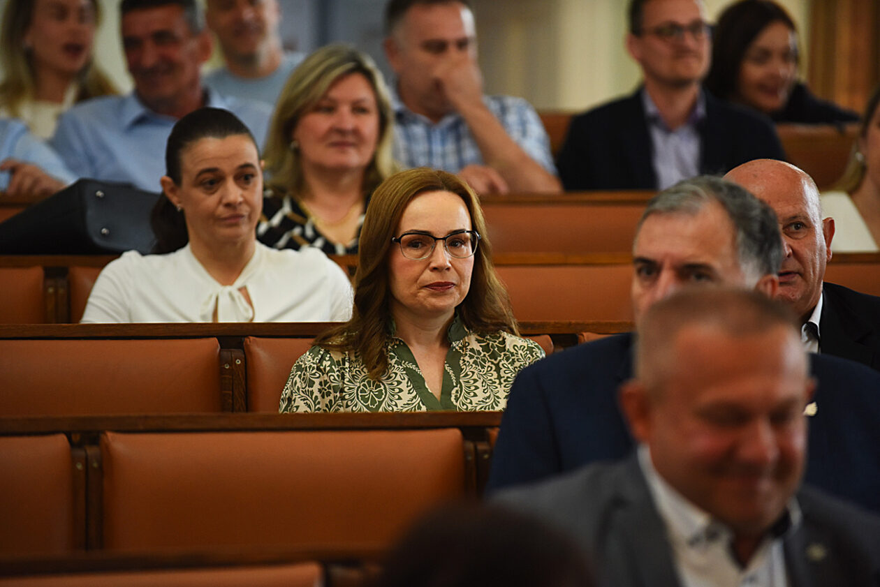 gradsko vijece (30)