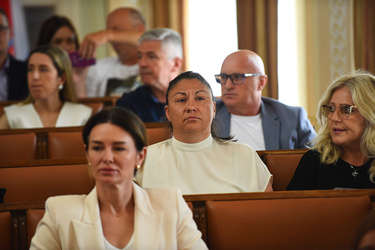 gradsko vijece (36)