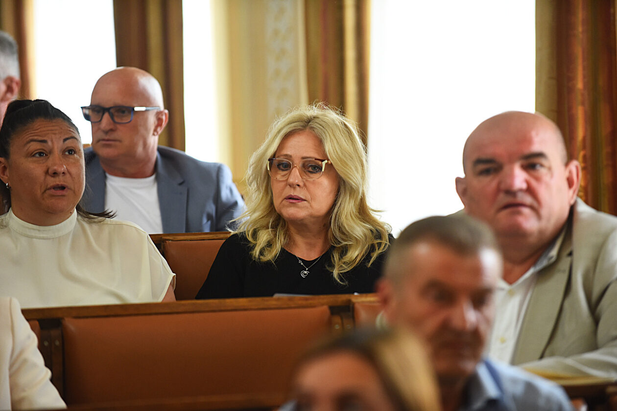 gradsko vijece (37)