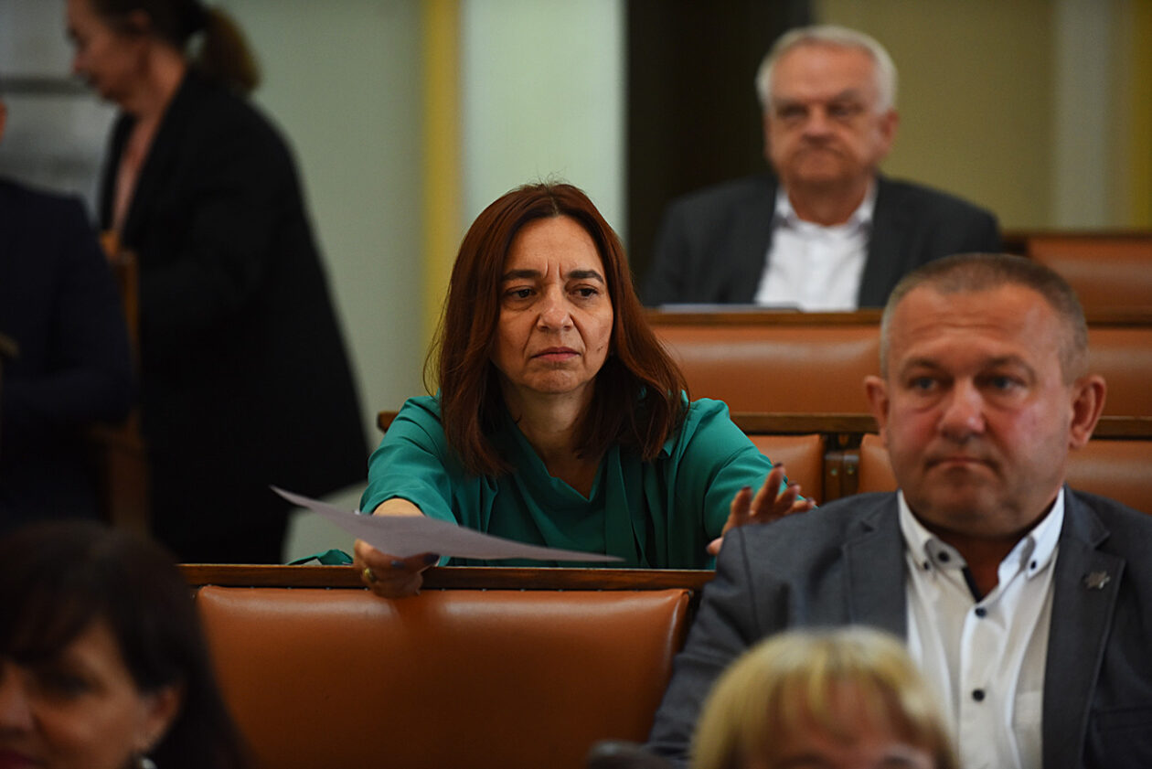 gradsko vijece (47)