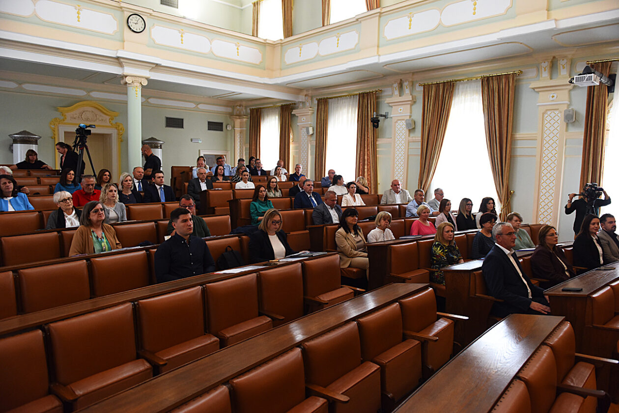 gradsko vijece (55)