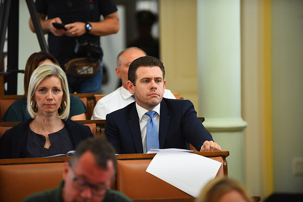 gradsko vijece dimitrije birac (3)