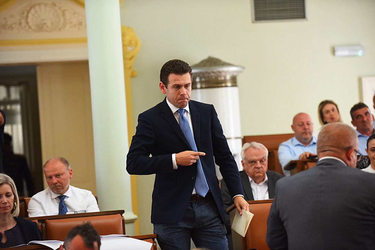 gradsko vijece dimitrije birac (4)