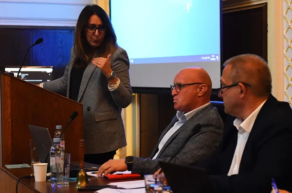 gradsko vijece malovic