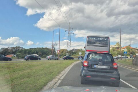 guzva svarca guzva svarca