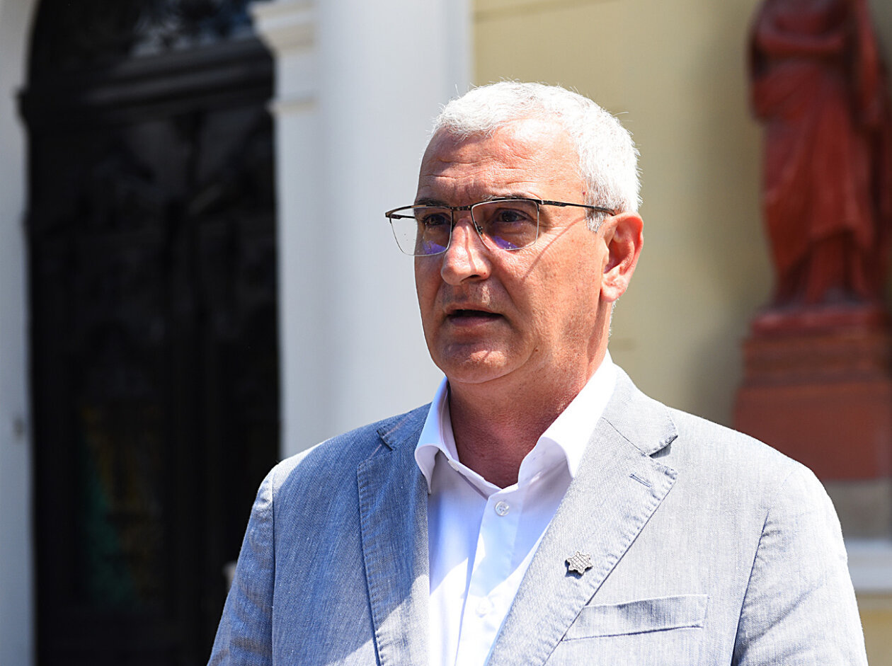 hdz damir mandic (1)