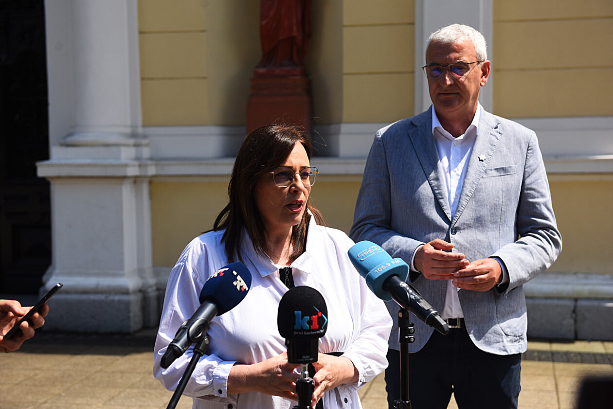 hdz focic mandic (1)