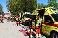 hitna pomoc dan hitne (25)