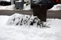 hladnoca zima led (1)