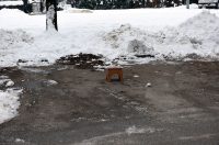 hladnoca zima led (3)