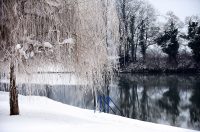 hladnoca zima led (6)