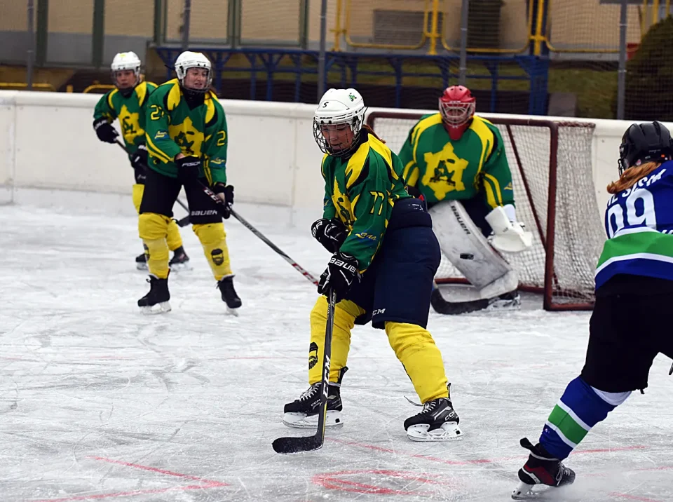 hokej (13) hokej (13)