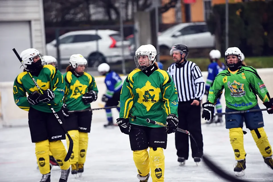 hokej (16) hokej (16)