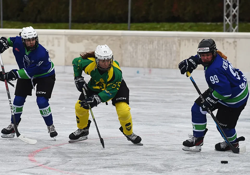 hokej (17) hokej (17)