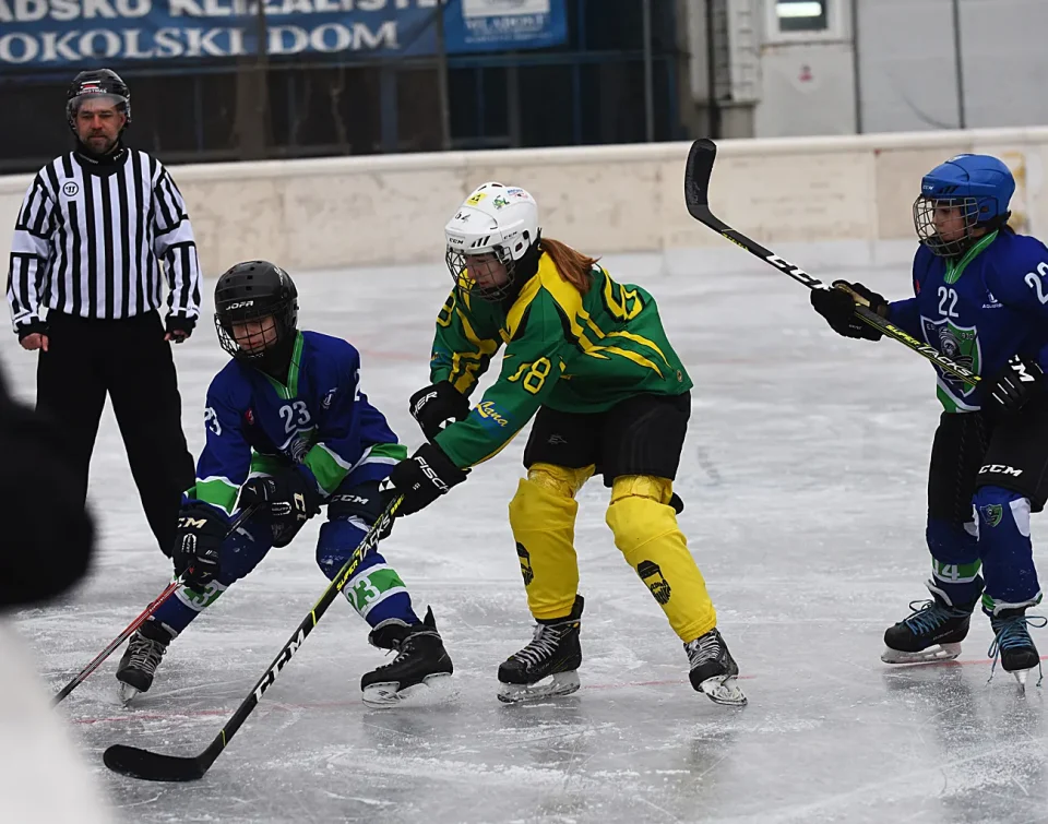 hokej (5) hokej (5)