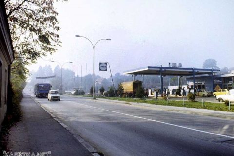 img763_rakovac_ina_sl