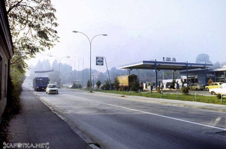 img763_rakovac_ina_sl