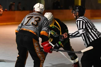 inline hokej (11) inline hokej (11)