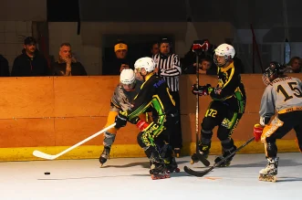 inline hokej (13) inline hokej (13)