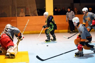 inline hokej (17) inline hokej (17)