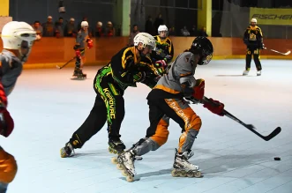 inline hokej (9) inline hokej (9)