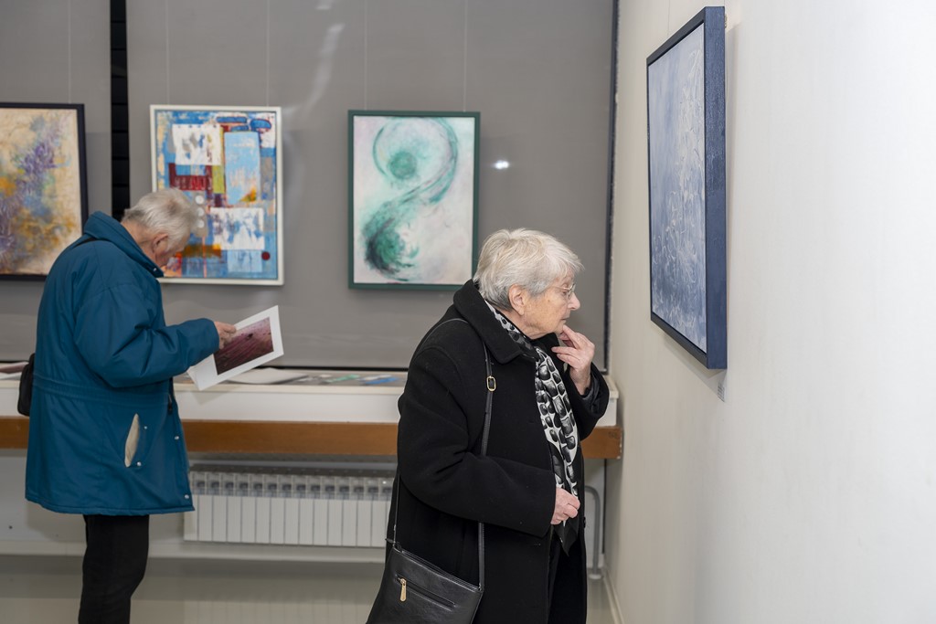 izozba knjiznica diana sare (11)